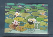 frb/ carte fleurs floralies d' automne a 01 Bourg en Bresse 1991