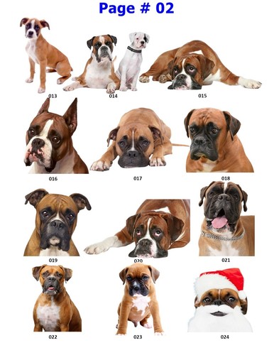 Boxer - Rücksendeadresse Etiketten - 1" x 2 5/8" - personalisiert - Bild 3 von 29