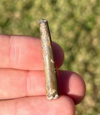 BIG Pterosaur Tooth from Niger 1.5” Fossil Flying Dinosaur Tooth Cretaceous Rare