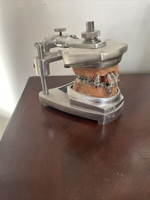 Unitek Orthostudy Dental Articulator 610-100 with Metal Models and Teeth