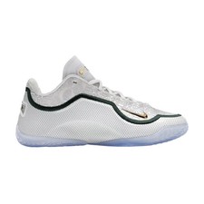 Nike Lebron 23 From This Point Forward for Sale | Authenticity