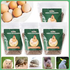 Bulk Dried Mealworms - Nutritious Bird  Pet Food, Chicken Feed  Fish Treats
