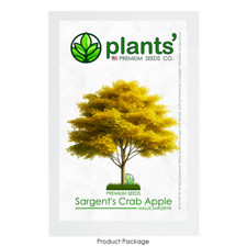Sargent's Crabapple Tree | Premium Seeds | Malus sargentii 'Fall' | Plants'®