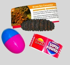 Yowie Brown Sea Cucumber Super Powers Series Animal Figure Set Surprise Inside 