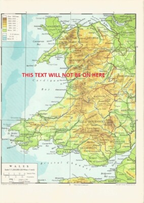 WALES  PRINCIPAL RAILWAYS 1960 MAP ILLUSTRATION PRINT