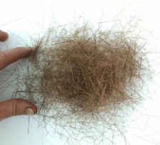 001 Tall Grass Dry Grass Brown/Reddish 2/4cm To Apply Manually 