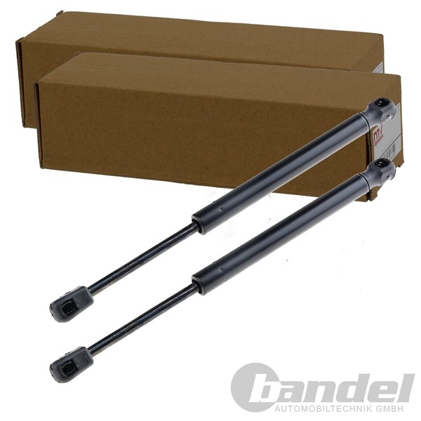 2X Nty Gasfedern KOFFERRAUM-LIFTER Passend FüR Audi A4 A6 | AE-AU-014-image