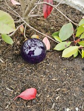 Dekokugel 10 cm Edelstahl dunkel lila Kugel Dekorationskugel Gartenkugel
