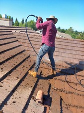 Roof Moss Removal, Roof washing for one-story homes (up to 2100 square feet)