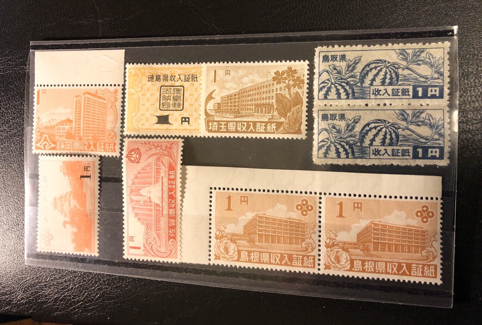Foto 6 di 6
