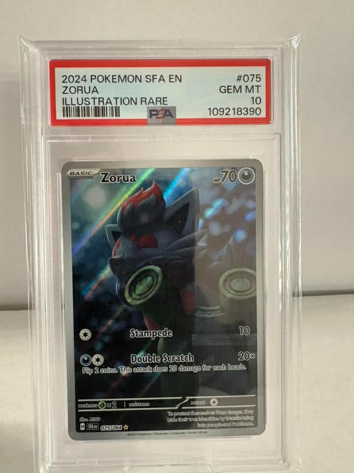 Pokemon TCG Zorua 075/064 Shrouded Fable Illustration PSA 10