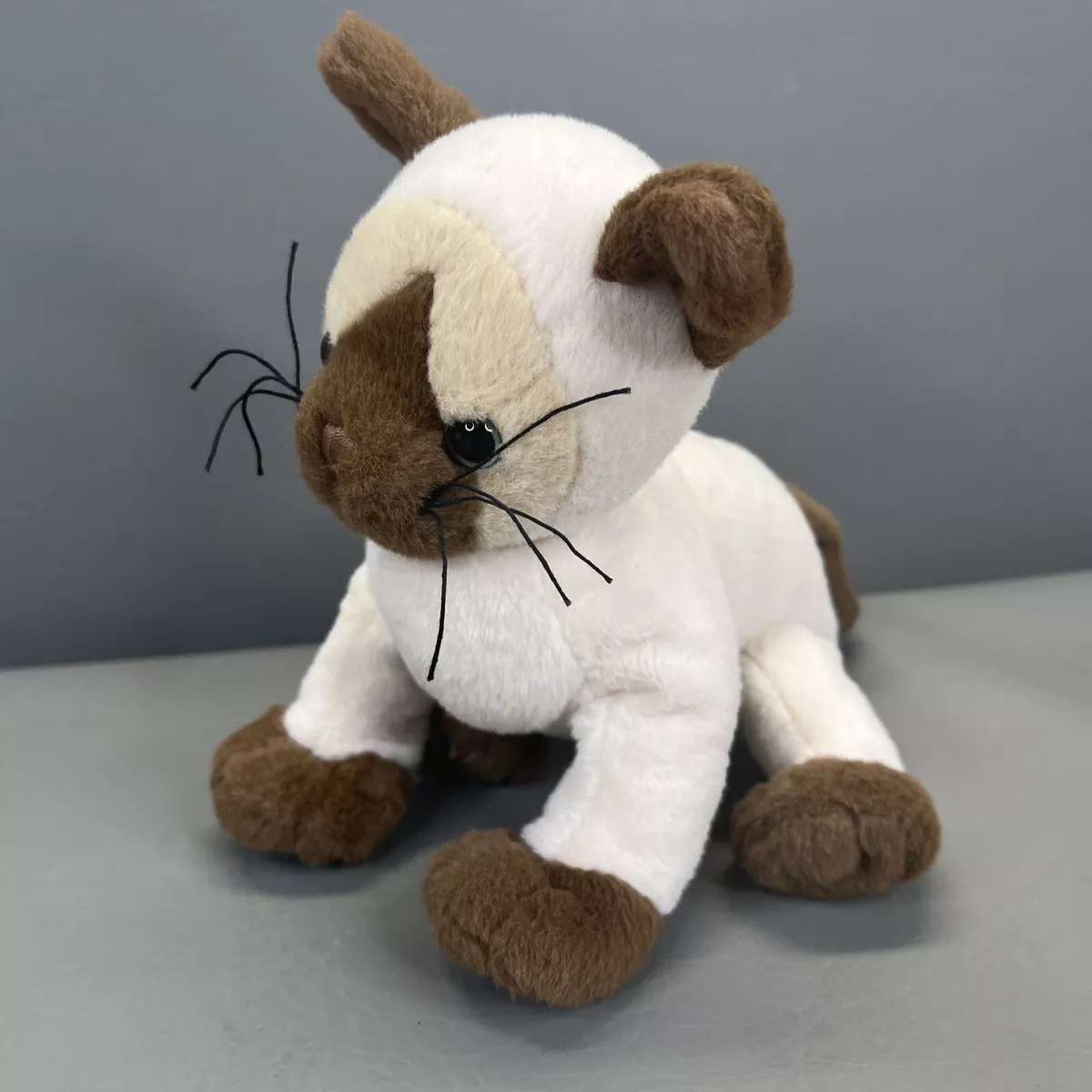Siamese cheap cat webkinz