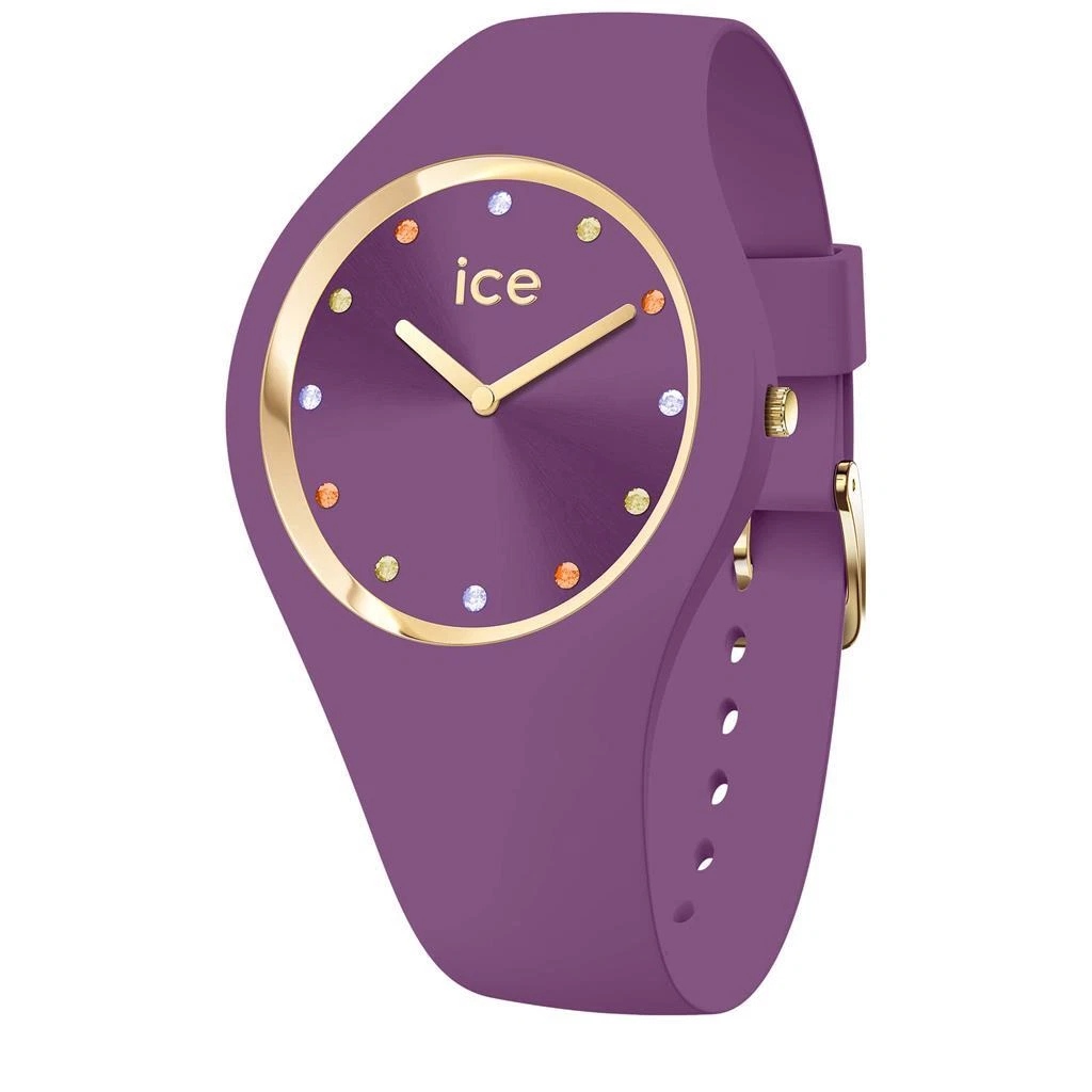 Ice clearance watch taupe
