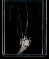2024 Topps Allen & Ginter X-Ray'd #XR-1 Toco Toucan -  18018
