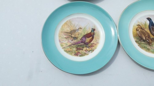 Wedgwood Game bird plates x 4 23cm,(9.05") - Picture 7 of 24