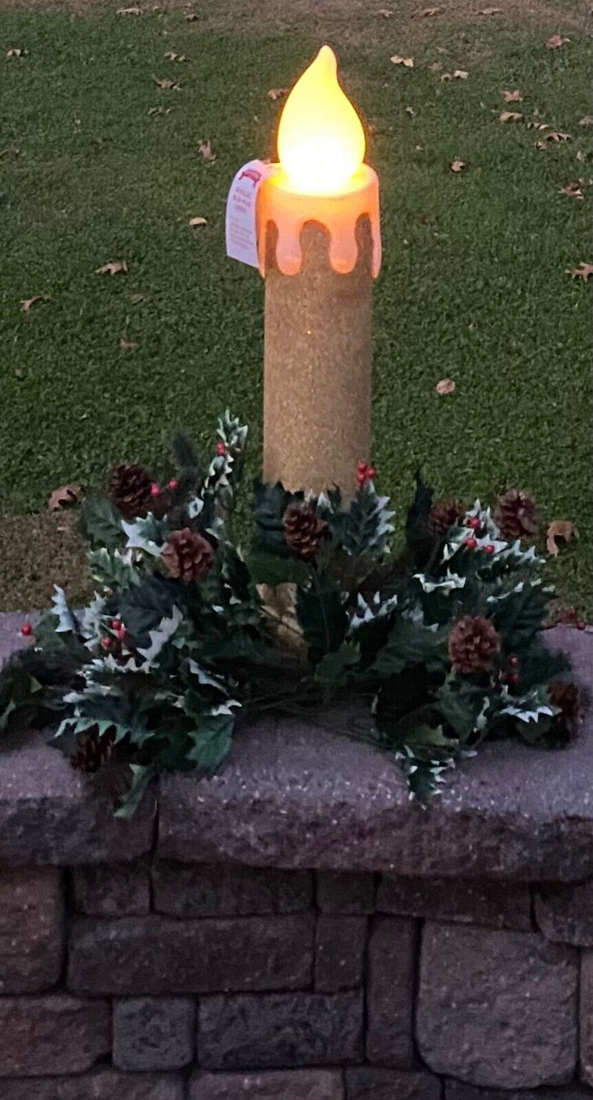 Picture 3 of 13