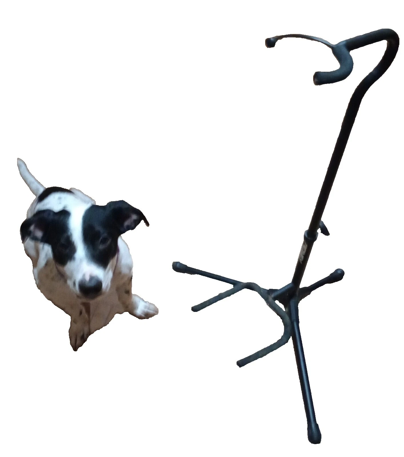 Soportes de guitarra Peavey y Colgadores