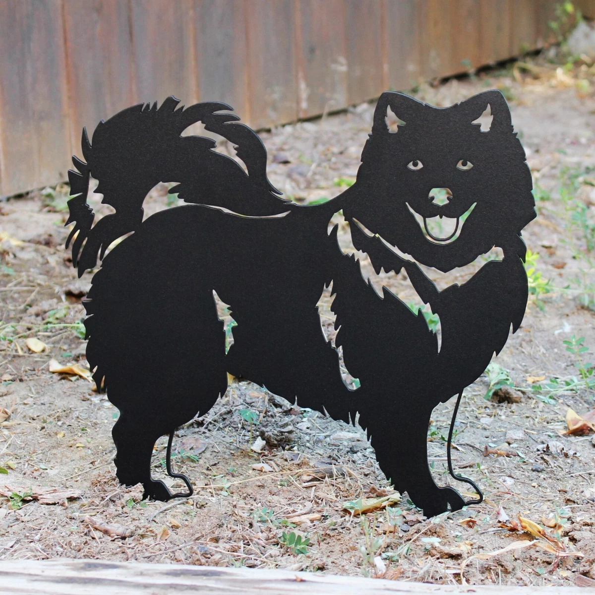 Japanese spitz black sales