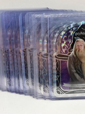 2024 Kakawow Harry Potter Sorting Hat Die-Cut Cards | Pick Your Card