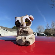 Ty Beanie Baby Bellies - PETEY the Raccoon (6 Inch) 2023 NEW Plush Stuffed Toy