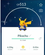 ✨ Shiny Pikachu wearing a kurta ✨ -  P T C - Description
