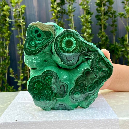 3,1 libbre malachite lucida naturale occhio di gatto trasparente grappolo minerale grezzo campione - Foto 7 di 15