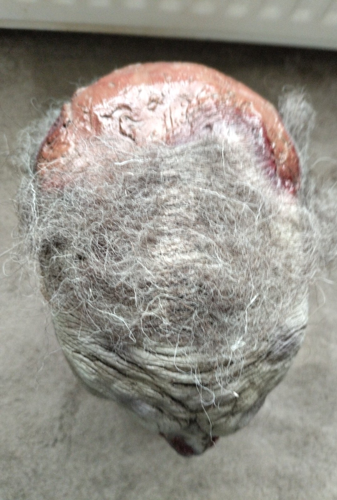 Picture 5 of 5