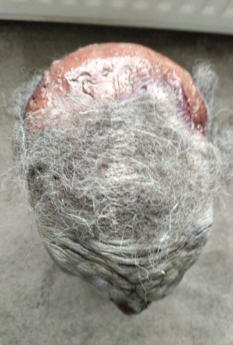 Ghoulish Productions Roamer Zombie Mask NWT - Picture 5 of 5