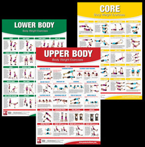 Fitness Wall Charts