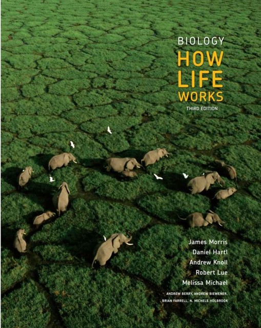 Biology How Life Works by Daniel Hartl, Melissa Michael, James Morris
