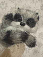 Ornament - Fur Baby Raccoon 3" x3"
