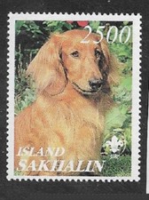 SAKHALIN ISLAND Dogs of the World GOLDEN RETRIEVER
