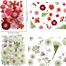 Dried Pressed Flowers Leaves kit for Resin Molds,Real Natural Dry Pressed Flo...
