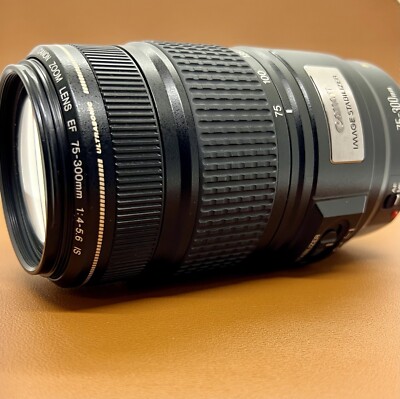 CANON ZOOM LENS EF 75-300mm 1：4-5.6 IS ジャンク品 Canon EF 75-300mm