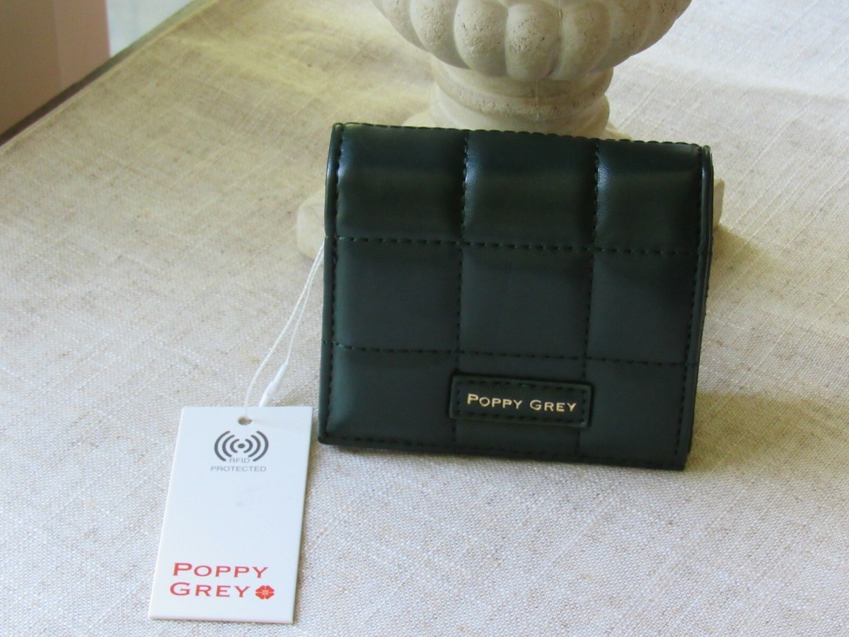 ポピー 希少品 巨獣特捜ジャスピオン DX超合金 GC-29 ダイレオン 両手拳あり
