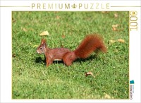 Calvendo Puzzle EichhöRnchen Im ParkeichhöRnchen | 1000 Teile Lege-GrößE 64X48Cm