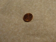 COTTON SEWING CRAFTING QUILTING FABRIC BY THE HALF YRD TONE ON TON BEIGE