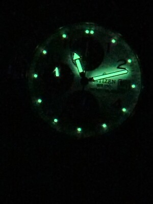 Vintage 1996 Citizen Promaster 0610-H03299 Reverse Panda