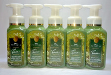 5 Tiana Gentle Foaming Hand Soap Bath  Body Works 8.75 fl oz