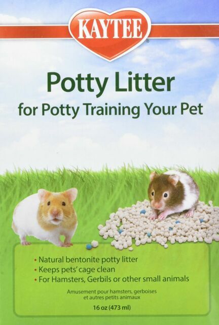 hamster potty training