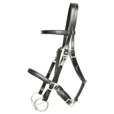 HORSE SIZE-READY MADE-Black HALTER BRIDLE with BIT HANGERS Made of BETA BIOTHANE