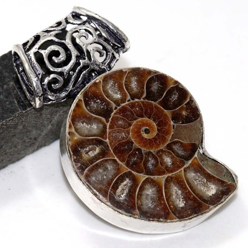 925 Silver Plated Ammonite Fossil Ethnic Chunky Pendant Jewelry Size 2" JW