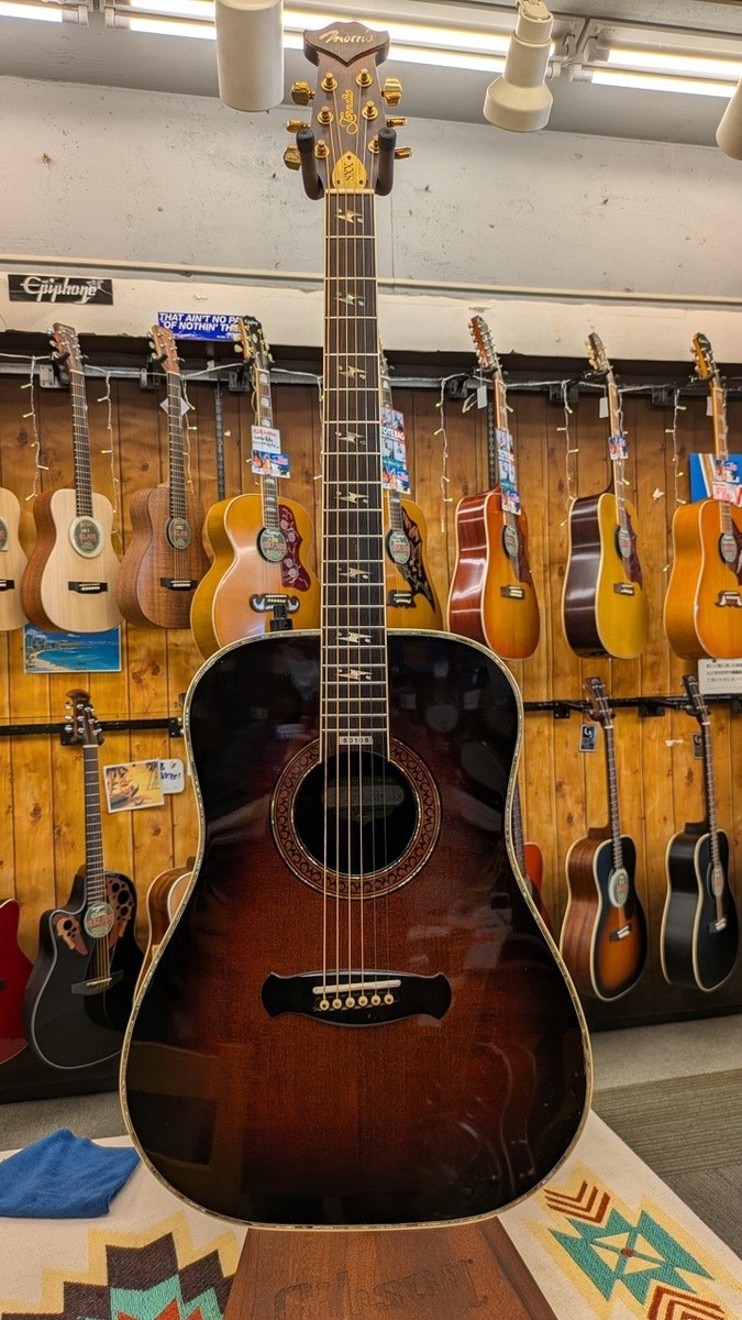 ギター Morris Tornado GXX Morris 1982 GXX-12 Tornado 12 String Vintage Natural