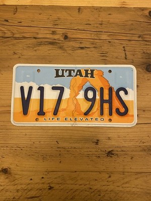 Utah - LIFE ELEVATED - US License Plate V17 9HS