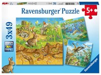 Tiere In Ihren LebensräUmen - Puzzle Mit 49 Teilen Spiel 08050 Deutsch 2019