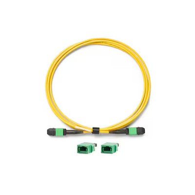 Fluke Networks Trc-Sm-Verify-Mpo12u Verification Cord