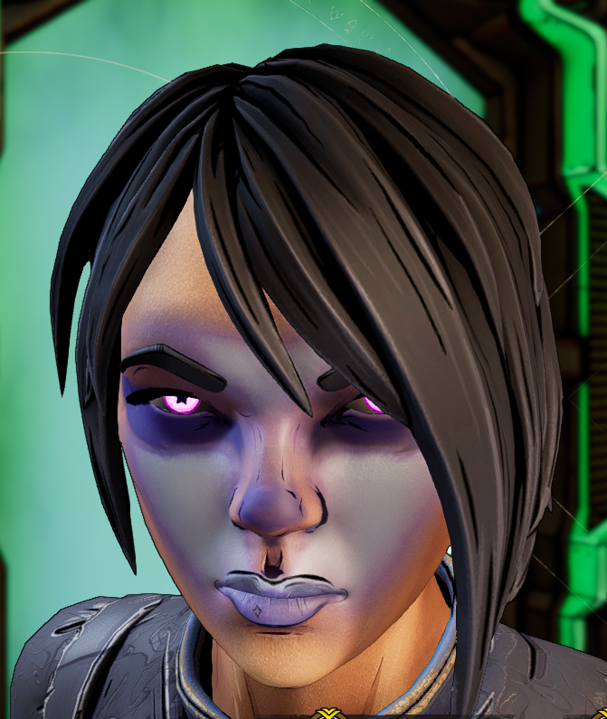 PC XBOX PS Tiny Tina's Wonderlands DLC COSMETICS Heads