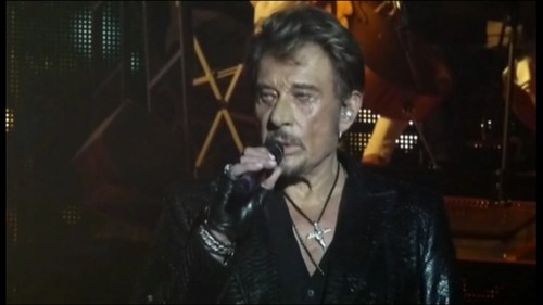 Johnny Hallyday 2012 (concert Anvers) - 2.DVDs - Foto 10 di 17
