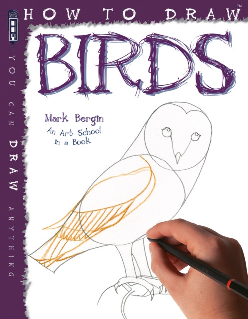 How To Draw Birds by Mark Bergin (Paperback Book)