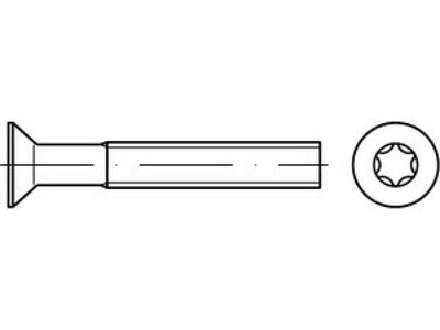 1000 x Senkschrauben, mit InnensechsrundTORX DIN 965 A 4 M 4 x 20 -T20 A 4 VES, 